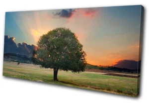 Ruhiger Baum Sonnenuntergang Feld Landschaften EINZELNE LEINWAND WANDBILD Bild Druck - Bild 1 von 1