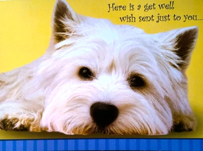 Art Greeting Get Well Thoughts Health  Dog Be Well - Image 1 of 2