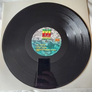 Massive Jointz #8 Promowax Vinyl Service Various Artists T.O.K., Sean Paul VINYL - Picture 1 of 4