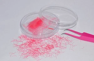 Individuelle Pink Color Silk Lashes C Curl 0,20 von 11 bis 15 mm Wimpernverlängerung  - Bild 1 von 1