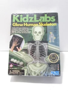 KidzLabs GLOW HUMAN SKELETON Kit BrainToy  Building Set Sealed Box 2015 ToySmith - Picture 1 of 19