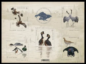BELGIUM 2024 FAUNA Animals BIRDS - S/S MNH - Picture 1 of 1