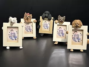 5 Dog Frames NWT New With Tags Eskimo, Yorker, Poodle, Pomeranian, Terrier - Picture 1 of 19