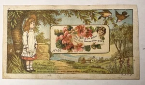 Victorian Trade Card Dr JC Ayer Lowell MA Ayer’s Cherry Pectoral in French B77 - Picture 1 of 5