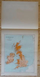 1906 antike KARTE DER BRITISCHEN INSELN Charles Stonham Vögel der britischen Inseln - Bild 1 von 4