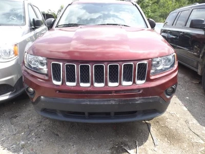 Parasol para pasajeros estilo clásico compatible con 10-17 COMPASS 1651182 Foto 1 de 4