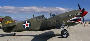 Modelo de madera de avión de combate Curtiss P-40 Warhawk envío gratuito - Imagen 1 de 1