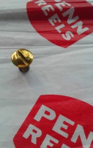 PENN SPINFISHER 850 SS BRASS DRIVE SCREW ( RIGHT- SIDE ) USA - Picture 1 of 4
