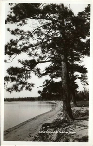 RPPC Cadillac Michigan Lake Mitchell Devolite foto real postal - Imagen 1 de 2