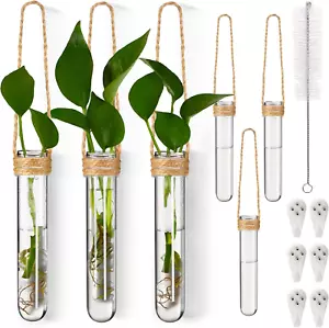6 Pack Plastic Hanging Propagation Vases Wall Planters Hanging Plant Propagation - Picture 1 of 7
