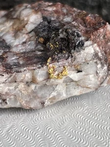 Excellent 1940s Jr Brooks Collection Colorado Gold In/on Matrix. 47 G - Picture 1 of 11
