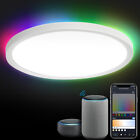 24W Smart LED Deckenleuchte dimmbar RGB Keller Wohnzimmer Deckenlampe