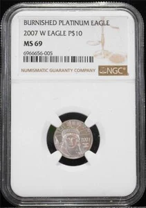 2007-W $10 1/10thoz .9995 Burnished Platinum Eagle NGC MS 69 Standard Gold Label - Picture 1 of 2
