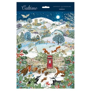 Animals Robin Fox Badger Hedgehog Postbox Caltime Advent Calendar 245 x 325 mm - Picture 1 of 1