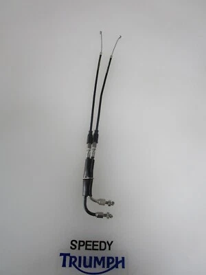 CABLES VÁLVULA ESCAPE TRIUMPH DAYTONA 675/R 2013 EN ADELANTE T2202069 Foto 1 de 4