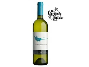 GAJA ALTENI DI BRASSICA 2007 VINO BIANCO SAUVIGNON LANGHE DOC PIEMONTE - Foto 1 di 1