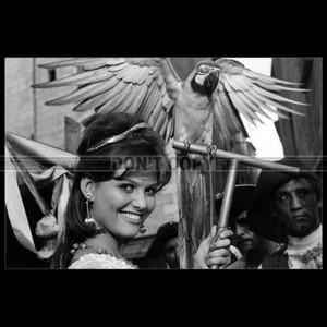 Photo F.000089 CLAUDIA CARDINALE (CARTOUCHE) 1962 - Foto 1 di 1