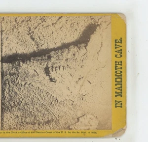 Letzte Rose Sommer Mammuthöhle KY Kentucky Chas Waldack Stereoansicht um 1870 - Bild 1 von 3