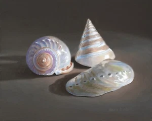 DANFORTH Three Sea Shells 8x10 realistic original still life oil painting - Picture 1 of 3