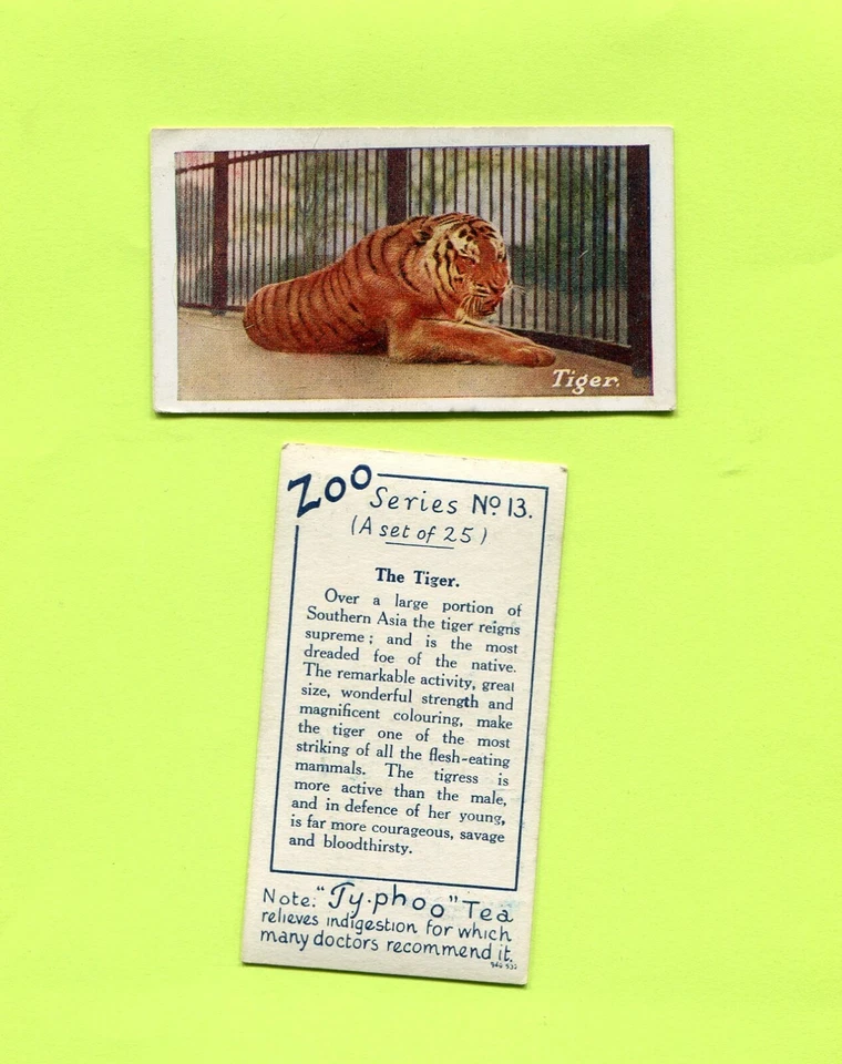 1932 TY-PHOO TEA ZOO COLLECTOR CARD #13 THE TIGER - Image 1 of 1