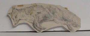 drawing DISEGNO BOZZETTO a matita su Carta " Volpe ferita " 1800 - Picture 1 of 1