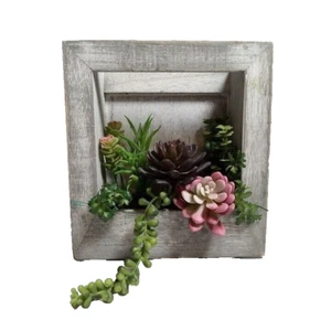 Cornice succulenta finitura rustica 8,5" x 9 e 1/4" di Walmart - Foto 1 di 7