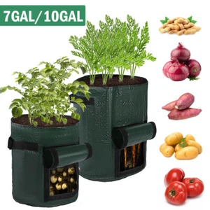 LOT 7 10 Gallon Plant Grow Bags Thickened Nonwoven Fabric Soil Pots w/ Handles - Picture 1 of 26