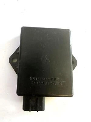 Yamaha Bear Tracker 250 2x4 04 CDI ECU ECM Caja 4XE-85540-00-00 Foto 1 de 4