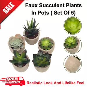 Set 5 Faux Succulent Plants in Pots - Decorative Artificial Cactus, Home/Office - Picture 1 of 8
