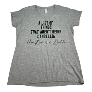 T-Shirt Adult XL Womens Gray V-Neck Fitted Short Sleeve Graphic Funny Sarcastic - Picture 1 of 6