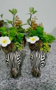 Zebra Head Figurine Vase Pot Ceramic Mini Plant Succulent Planter Flower Decor - Picture 1 of 9