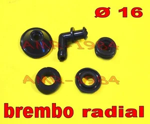 KIT REVISIONE POMPA FRENO RADIALE BREMBO PR16 Ø 16 GOMMINI POMPA RADIALE 16 - Imagen 1 de 1
