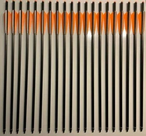 20 pernos de carbono 20" 9 mm pernos de ballesta flechas de ballesta 100% carbono - Imagen 1 de 4