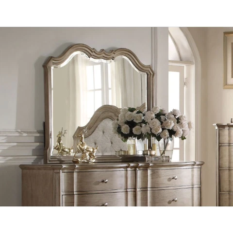 ACME Chelmsford Mirror in Antique Taupe 26054 Cover