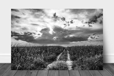 Corn Field Metal Print: Nebraska Black & White Road Path Country Sky Wall Art - Image 1 of 4
