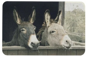 Mars & More * Fußmatte * Esel * Schmutzmatte waschbar Schmutzfangmatte Landhaus - Bild 1 von 6