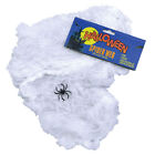 Spider's Web With A Spider Halloween Decoration Stretchy Cobweb (White)