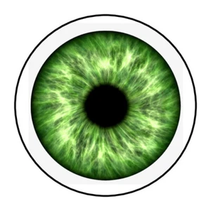 eye stickers, labels, tags, envelope seals, eye ball, green - Picture 1 of 1