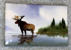 Souvenir Refrigerator Magnet Rectangle Moose in Water  - Picture 1 of 4