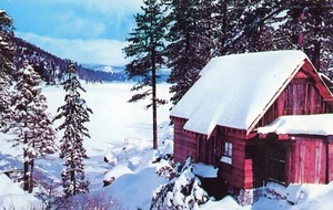Winter Fairyland in the New England Country, 1959, UNP, VG --POSTCARD - Imagen 1 de 2