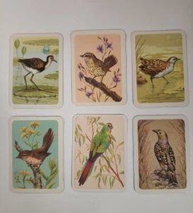 Australiana bird studies cards 6 off - nos - 126,168,169,219,220,256 - lot 609 - Bild 1 von 2