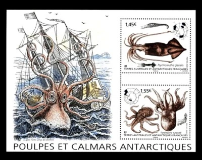 French Antarctic FSAT TAAF - "OCTOPUS ~ SQUID ~ MARINE LIFE" MNH MS 2020 - Image 1 of 4