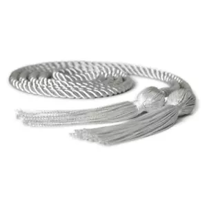 Endea Graduation Single Honor Cord Silver - Picture 1 of 4