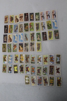 Brooke Bond Tea Cards Wonders Of Wildlife & Brittish Butterflies, Not Complete - Image 1 of 4