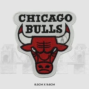 Basket Ball Club Logo Iron/Sew On Patch Badge Embroidered Applique For Clothes - Picture 1 of 1