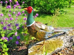 Metal Regal Pheasant Garden Ornament - Green Neck - Picture 1 of 11