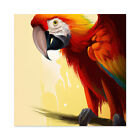 Scarlet Macaw Parrot Branch Bird Sunny Huge Wall Art Square Print Picture