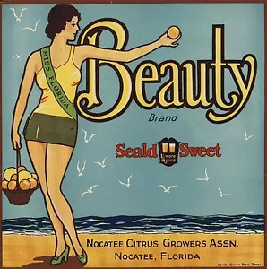 Nocatee Florida Seald Sweet Beauty Orange Zitrus Obstkiste Etikettendruck - Bild 1 von 1