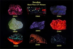 JHSet301 Juego de 9 minerales fluorescentes de Suecia - Imagen 1 de 3