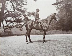 Antikes edwardianisches Foto Herr zu Pferd, Landsitz Szene um 1900 - Bild 1 von 3